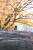 resIMG_20171121_124148_9046.JPG
